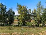 1479 Black Cove Lane - Photo 3