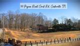 41B Bald Eagle Rd - Photo 27