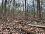 00 Chestnut Mountain Rd - Photo 1