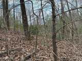 00 Chestnut Mountain Rd - Photo 8