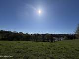 Lot 52 Marble Bluff Drive - Photo 47