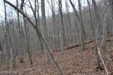 Lot 14 Cheyenne Drive - Photo 18