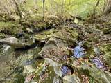 148 Cate Rd - Photo 45