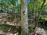 148 Cate Rd - Photo 47
