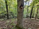 148 Cate Rd - Photo 48