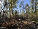 11.53 Ac Government Pond Rd - Photo 3