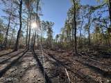 11.53 Ac Government Pond Rd - Photo 4