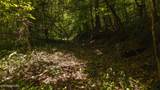 Lot 187 Cottage Lane - Photo 11