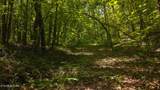 Lot 187 Cottage Lane - Photo 14