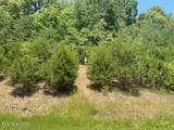 Lot 492 Citron Lane - Photo 1