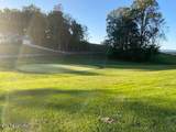Lot 492 Citron Lane - Photo 11