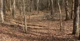 154 Coon Creek Rd - Photo 3