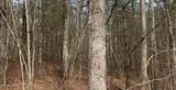 154 Coon Creek Rd - Photo 4