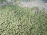  Hotwater Rd - Photo 14