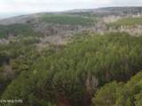  Hotwater Rd - Photo 8