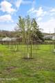 2529 Cunningham Rd - Photo 38
