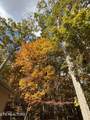 209 Osage Lane - Photo 50