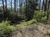 313 Outer Drive - Photo 3