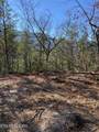  Lot 314R Duck Hollow Rd - Photo 5