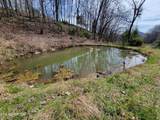 183 Rough House Hollow Rd - Photo 42