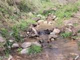 183 Rough House Hollow Rd - Photo 43