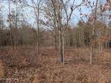 Lot 52 Taylor Way/Fooshee Pass - Photo 4