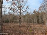Lot 52 Taylor Way/Fooshee Pass - Photo 8