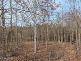Lot 52 Taylor Way/Fooshee Pass - Photo 9