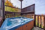 922 Black Bear Cub Way - Photo 3