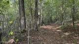  Bear Hollow Rd - Photo 4