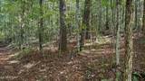  Bear Hollow Rd - Photo 5