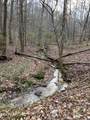  Bear Hollow Rd - Photo 6