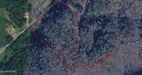 Bogard Rd - Photo 2