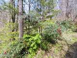819 Jama Way - Photo 36