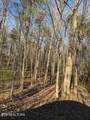  Bear Hollow Rd - Photo 1