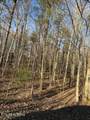  Bear Hollow Rd - Photo 2