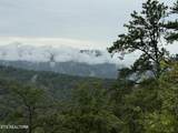  Mountain Ridge Way - Photo 6