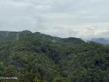  Mountain Ridge Way - Photo 8