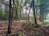 Tract 4 Pleasant Hill Rd - Photo 10