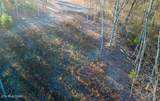 Lot 51 Cloud View Drive - Photo 12