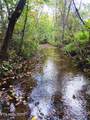  Nopone Valley Rd - Photo 17