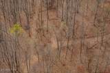 0 White Oak Flatt Rd - Photo 8
