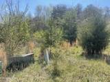 317 Mountain View Drive - Photo 10