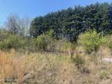317 Mountain View Drive - Photo 11