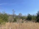 317 Mountain View Drive - Photo 14