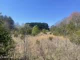 317 Mountain View Drive - Photo 15