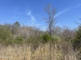 317 Mountain View Drive - Photo 16