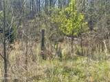 317 Mountain View Drive - Photo 21