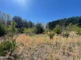 317 Mountain View Drive - Photo 22
