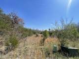 317 Mountain View Drive - Photo 25
